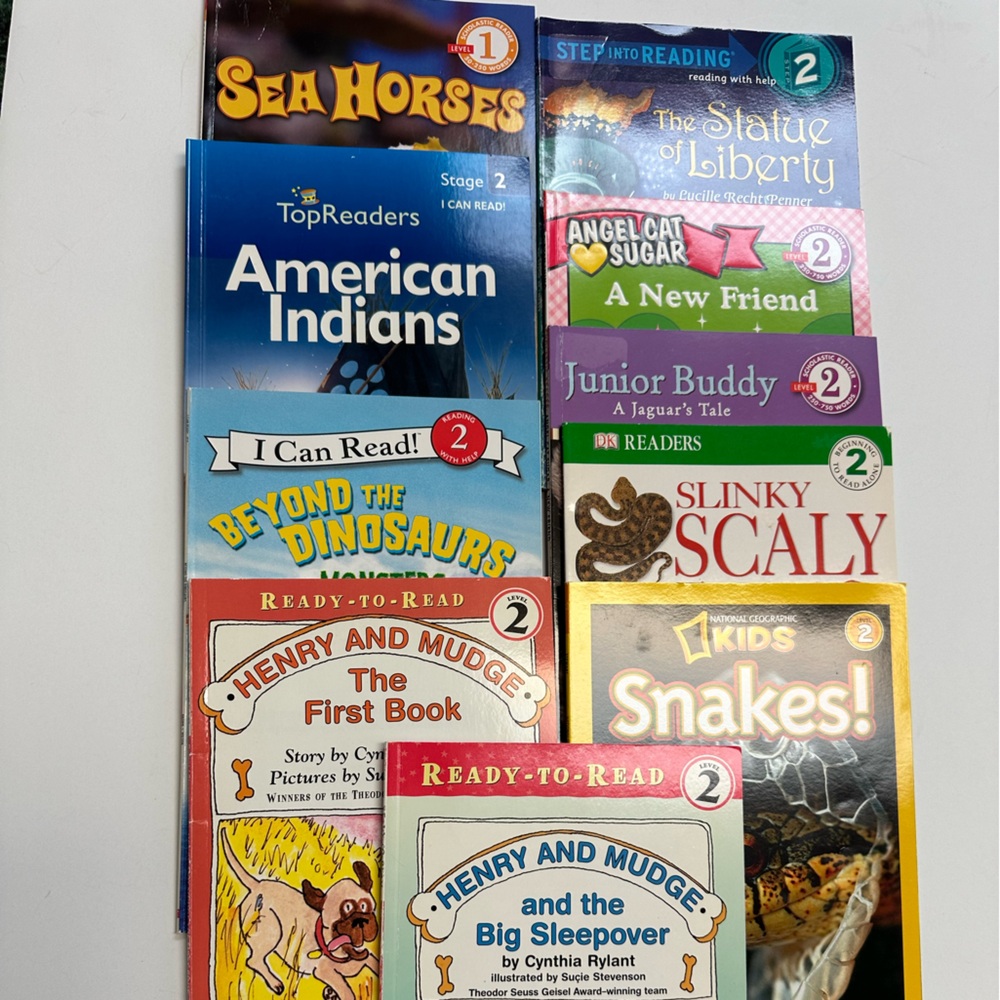 Assortment of Stories and Nonfiction Level 2 Books for Beginning Readers.